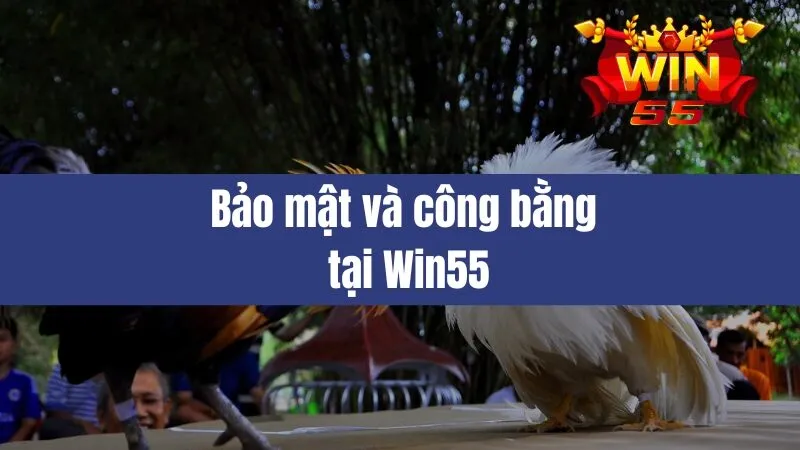 Đá Gà Win55